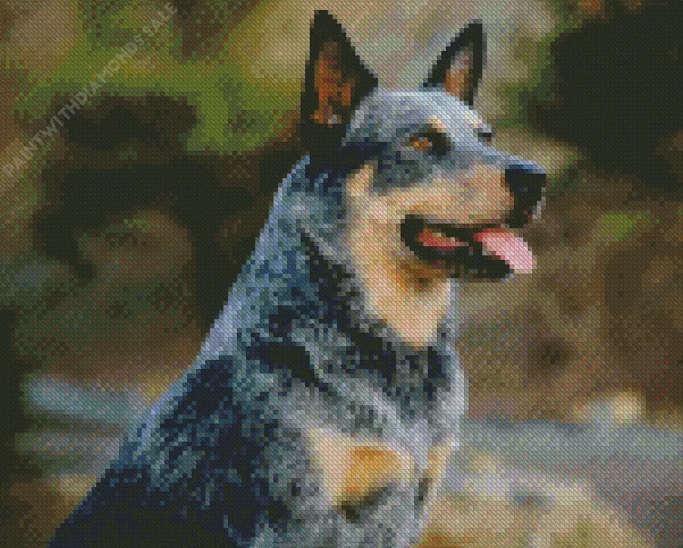Black Australian Cattle Dog Diamond Dotz Black Australian Cattle Dog Diamond Painting