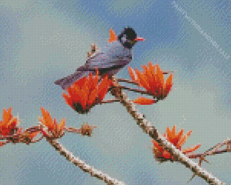 Black Bulbul on floral branches Diamond By Numbers Black Bulbul On Floral Branches Diamond Painting