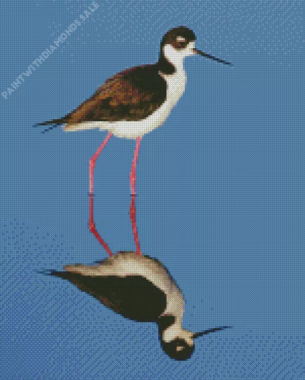 Black Necked Stilt Diamond By Numbers Black Necked Stilt Diamond Painting