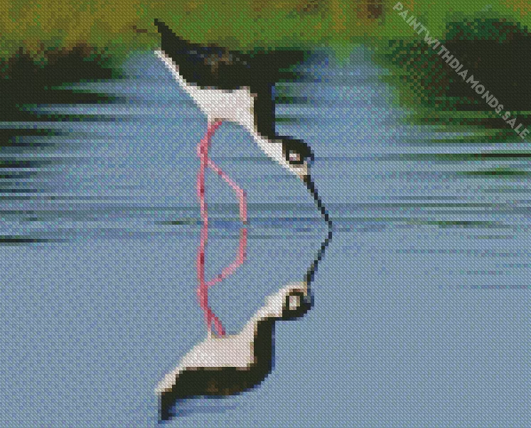 Black Necked Stilt bird reflection Diamond By Numbers Black Necked Stilt Bird Reflection Diamond Painting
