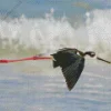 Black Necked Stilt Flying Diamond Painting