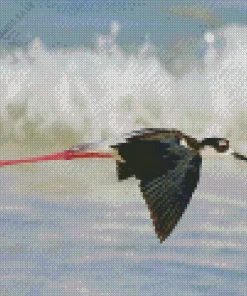 Black Necked Stilt Flying Diamond Painting