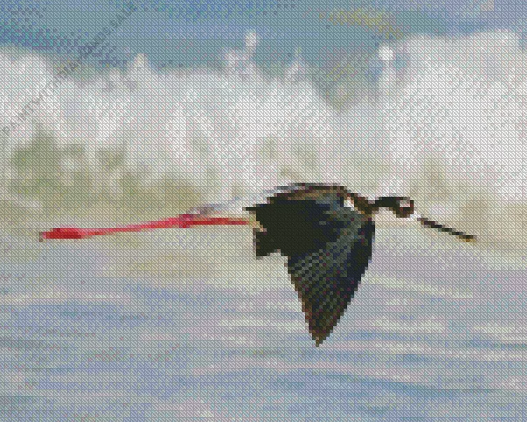 Black Necked Stilt flying Diamond By Numbers Black Necked Stilt Flying Diamond Painting