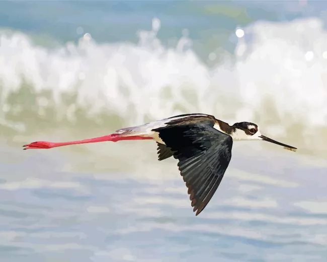 Black Necked Stilt flying Diamond Paints Black Necked Stilt Flying Diamond Painting