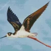 Black Necked Stilt In Flight Diamond Painting