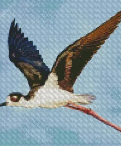 Black Necked Stilt In Flight Diamond Painting