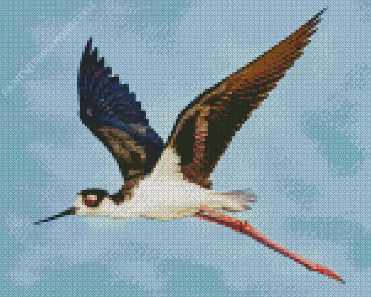 Black Necked Stilt in flight Diamond By Numbers Black Necked Stilt In Flight Diamond Painting