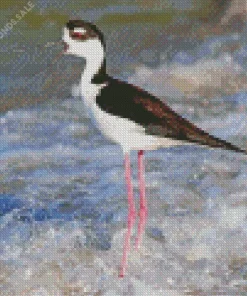 Black Necked Stilt In Waves Diamond Painting