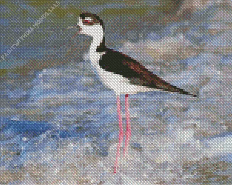 Black Necked Stilt in waves Diamond By Numbers Black Necked Stilt In Waves Diamond Painting