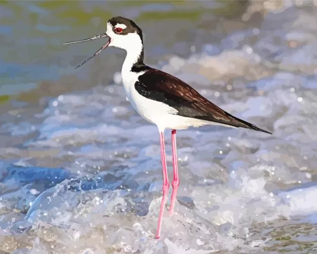 Black Necked Stilt in waves Diamond Paints Black Necked Stilt In Waves Diamond Painting