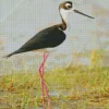 Black Necked Stilt Bird Art Diamond Painting