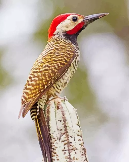 Black necked woodpecker Diamond With Numbers Black Necked Woodpecker Diamond Painting