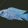 Blue Neon Cichlid Diamond Painting