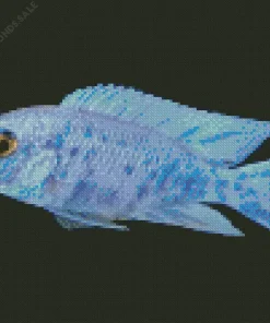 Blue Neon Cichlid Diamond Painting