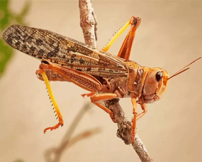 Brown locust Diamond Paints Brown Locust Diamond Painting