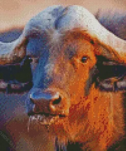 Buffalo Diamond Painting