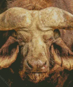 Buffalo Close Up Diamond Painting