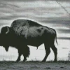 Buffalo Silhouette Diamond Painting