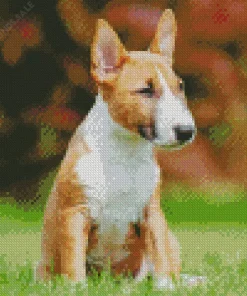 Bull Terrier Diamond Painting