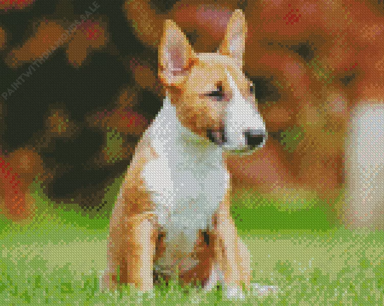 Bull Terrier Diamond By Numbers Bull Terrier Diamond Painting