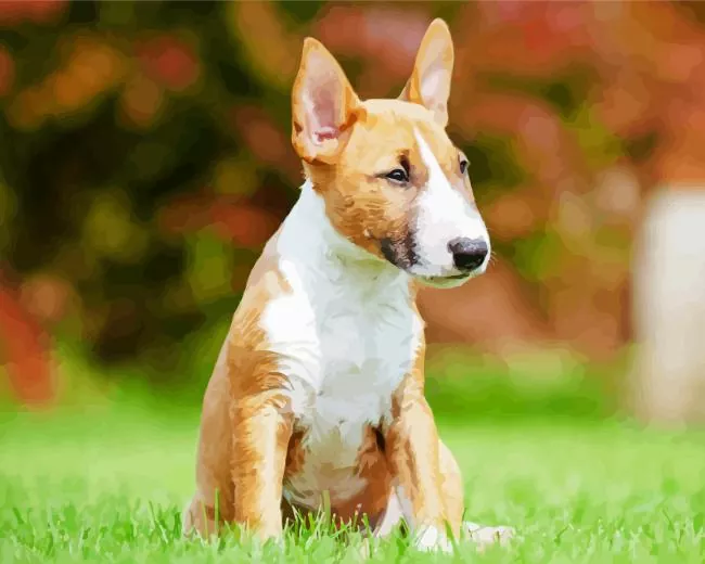 Bull Terrier Diamond Paintings Bull Terrier Diamond Painting