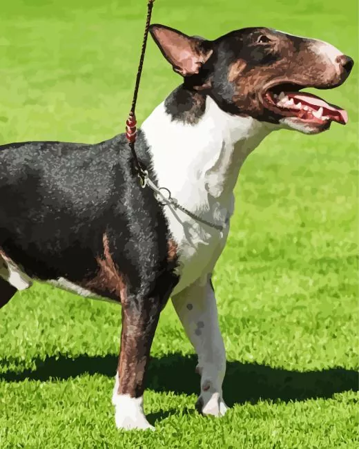 Bull Terrier dog Diamond Paintings Bull Terrier Dog Diamond Painting