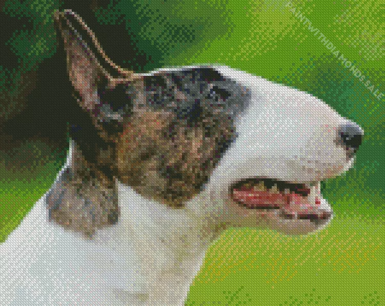 Bull Terrier head Diamond By Numbers Bull Terrier Head Diamond Painting