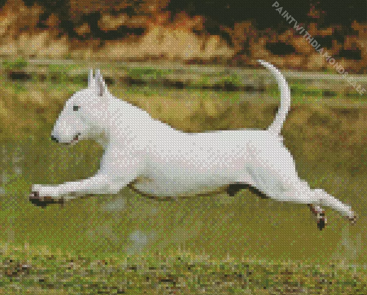Bull Terrier playing Diamond By Numbers Bull Terrier Playing Diamond Painting