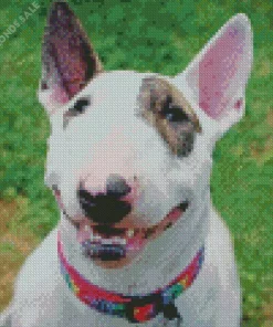 Bull Terrier Smiling Diamond Painting
