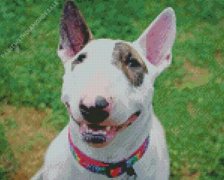 Bull Terrier smiling Diamond By Numbers Bull Terrier Smiling Diamond Painting