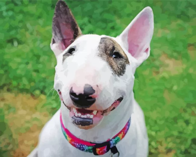 Bull Terrier smiling Diamond Paintings Bull Terrier Smiling Diamond Painting