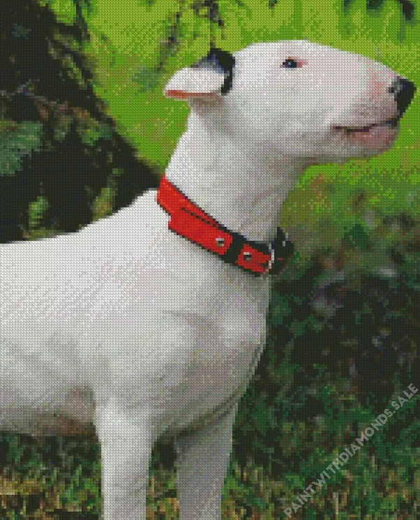 Bull Terrier with red tie Diamond By Numbers Bull Terrier With Red Tie Diamond Painting