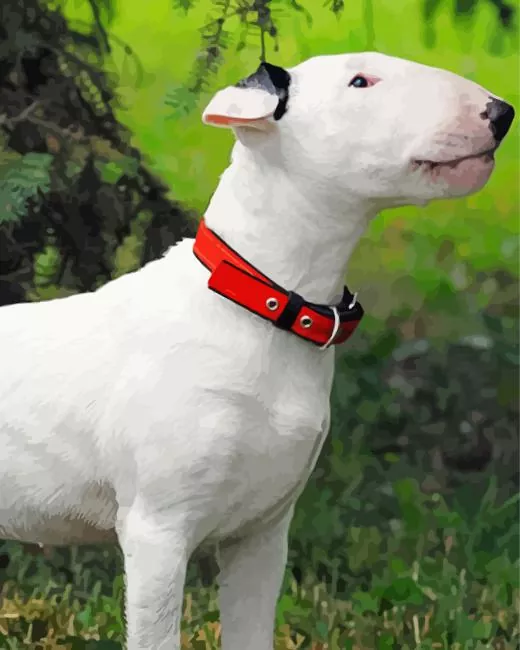 Bull Terrier with red tie Diamond Paintings Bull Terrier With Red Tie Diamond Painting