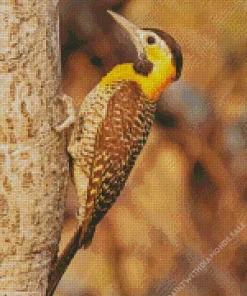 Campo Flicker Diamond Painting