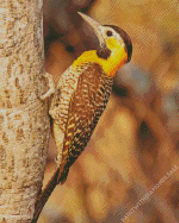 Campo flicker Diamond Dotz Campo Flicker Diamond Painting