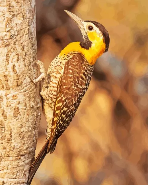 Campo flicker Diamond With Numbers Campo Flicker Diamond Painting