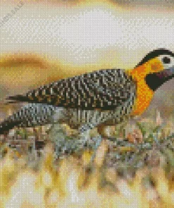 Campo Flicker Bird Diamond Painting