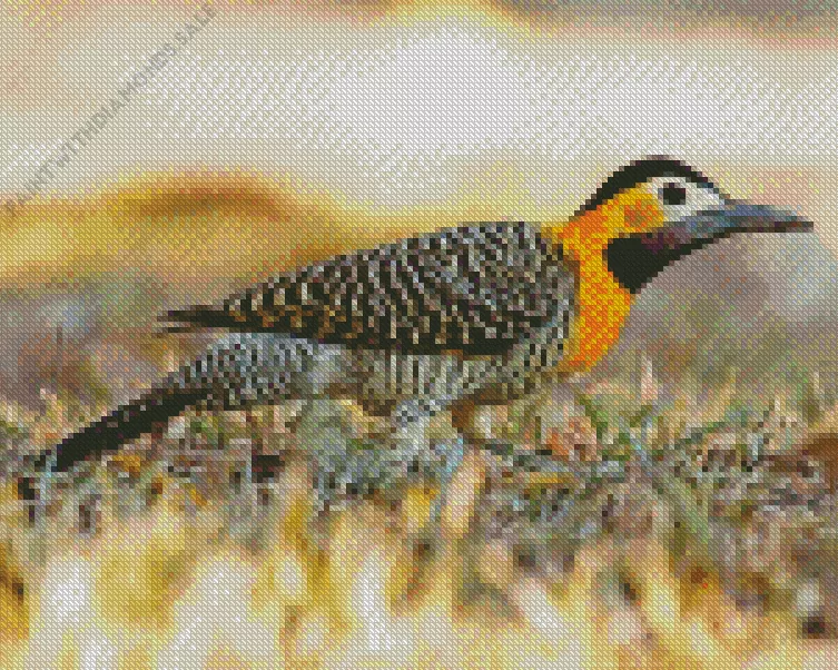 Campo flicker bird Diamond Dotz Campo Flicker Bird Diamond Painting