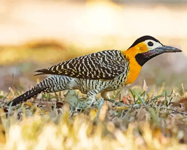 Campo flicker bird Diamond With Numbers Campo Flicker Bird Diamond Painting