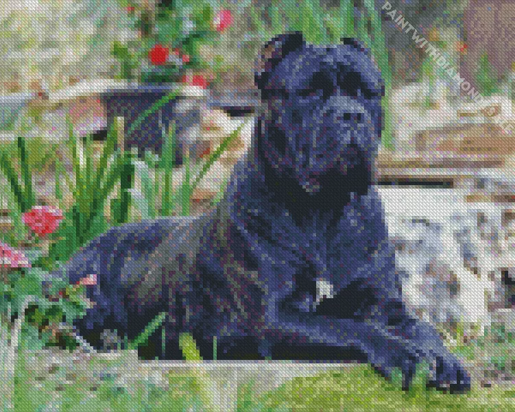 Cane Corso dog Diamond Dotz Cane Corso Dog Art Diamond Painting