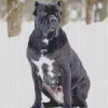 Cane Corso In Snow Diamond Painting