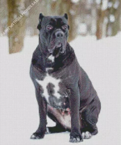 Cane Corso In Snow Diamond Painting