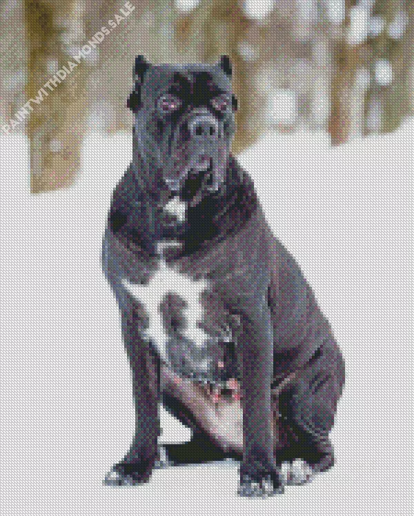 Cane Corso in snow Diamond Dotz Cane Corso In Snow Diamond Painting