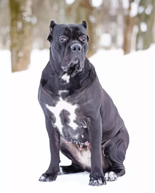 Cane Corso in snow Diamond Paintings Cane Corso In Snow Diamond Painting