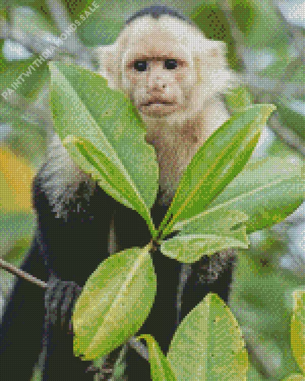 Capuchin Monkey and green leaves Diamond By Numbers Capuchin Monkey And Green Leaves Diamond Painting