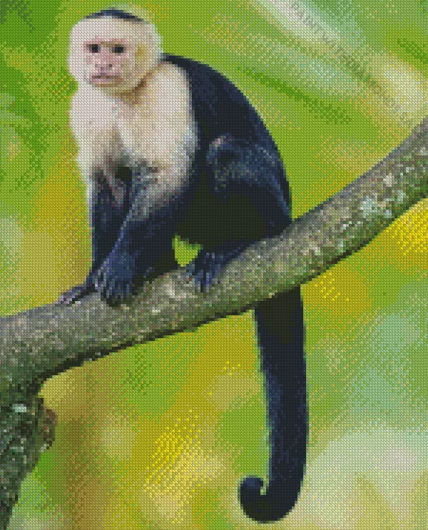 Capuchin Monkey on a branch Diamond By Numbers Capuchin Monkey On A Branch Diamond Painting