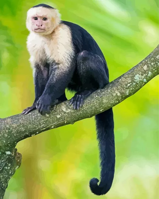 Capuchin Monkey on a branch Diamond Paintings Capuchin Monkey On A Branch Diamond Painting