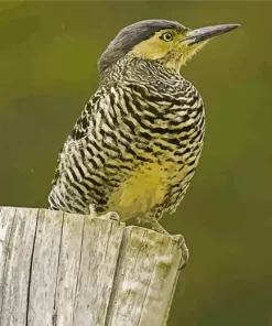 Chilean Flicker Diamond Painting