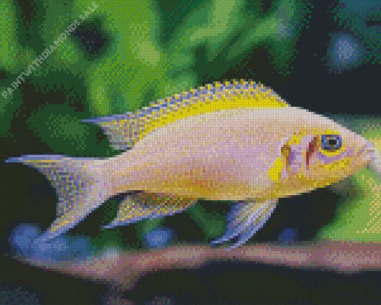 Cichlid Diamond With Numbers Cichlid Diamond Painting