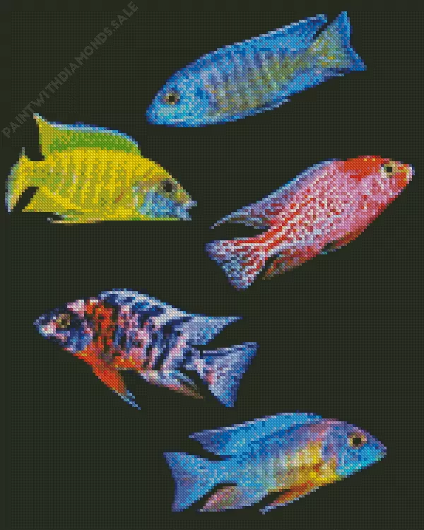 Cichlid fish Diamond With Numbers Cichlid Fish Diamond Painting
